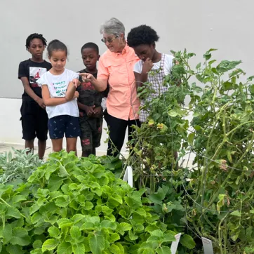 Four teens at the Sulphur Springs community garden with master gardener Diana Kyle.